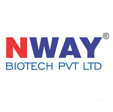 Free Placement Agency in Pune