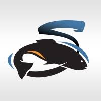 Free Placement Agency in Pune